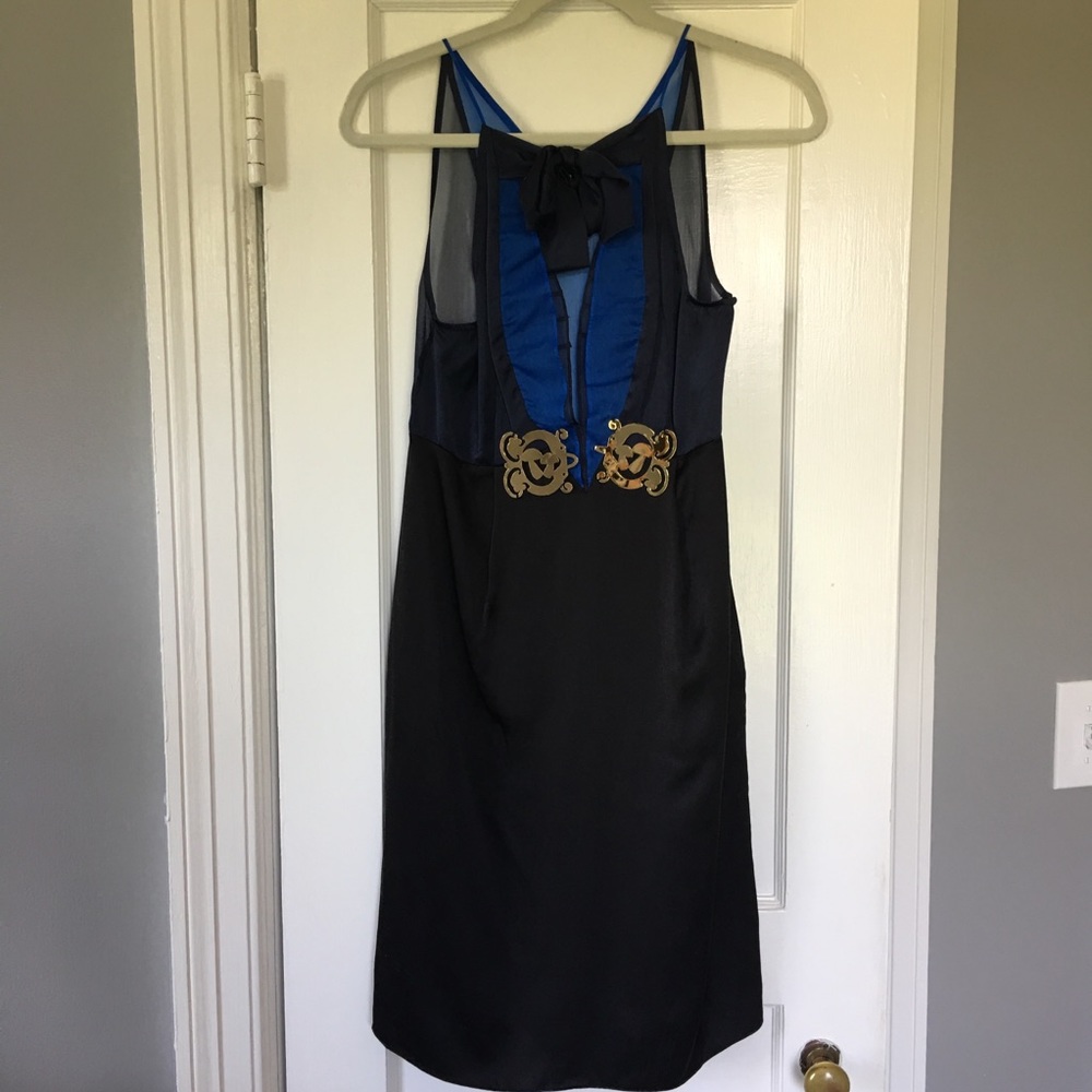 Cynthia Rowney silk & sheer dress